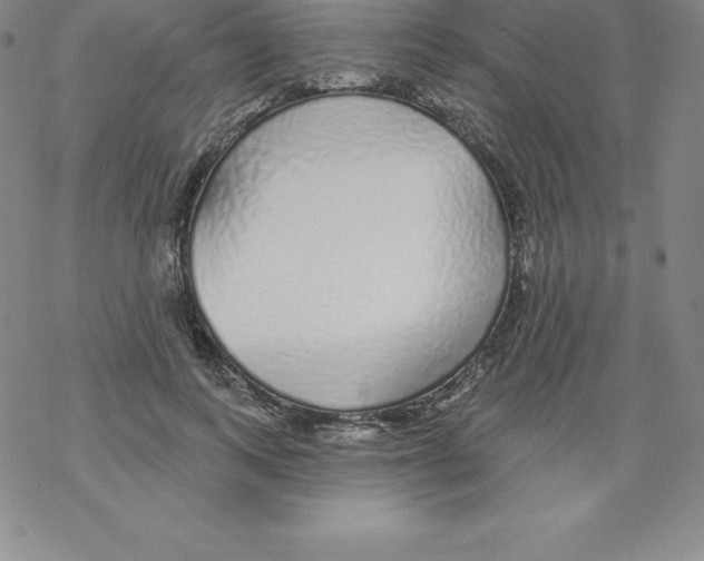 X0000067940743200605112059