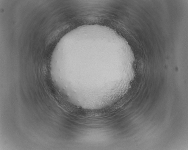 X0000067940746200605112059