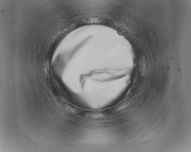 X0000067940747200605112059
