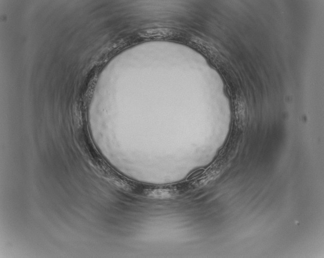X0000067940751200605112059