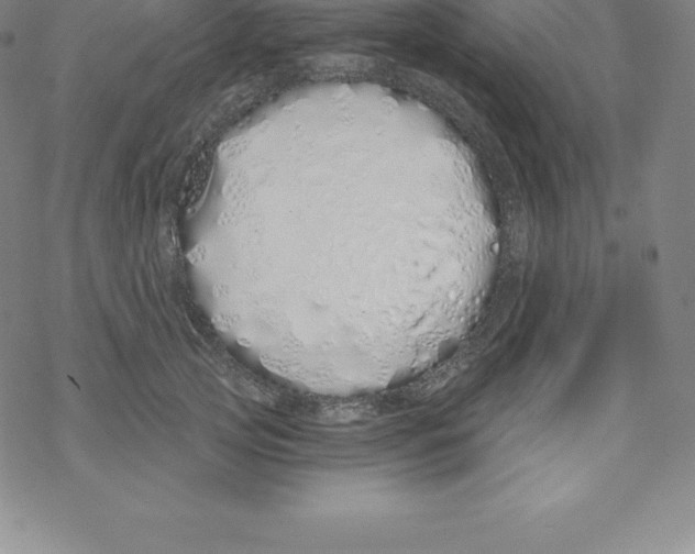 X0000067940753200605112059