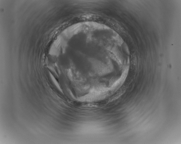 X0000067940754200605112059