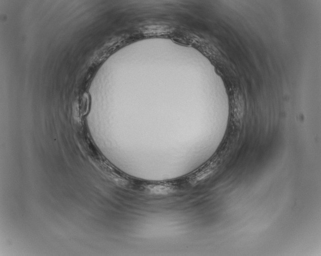 X0000067940755200605112059