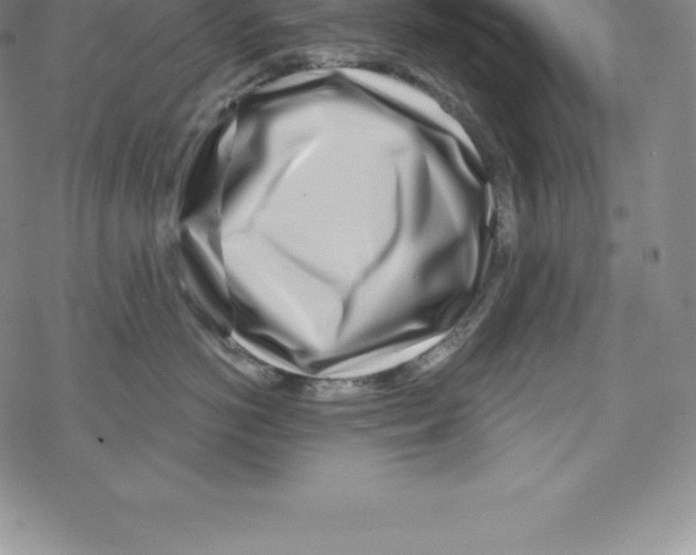 X0000067940766200605112059