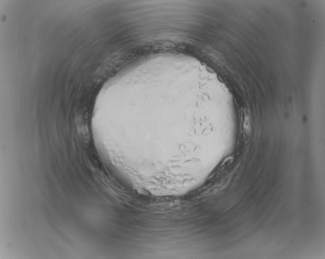 X0000067940771200605112059