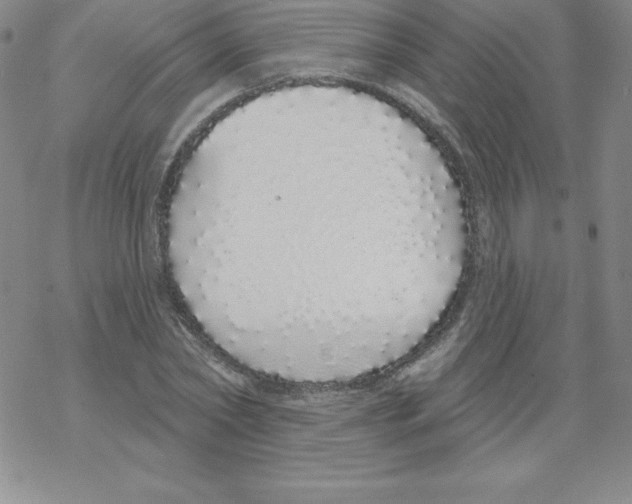 X0000067940782200605112058