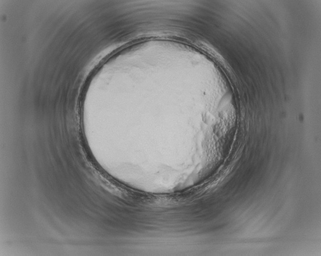 X0000067940787200605112058