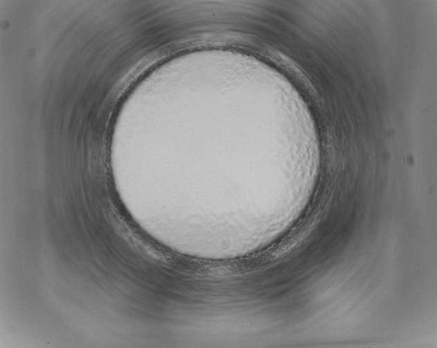 X0000067940794200605112058