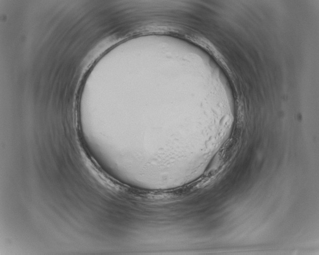 X0000067940795200605112058