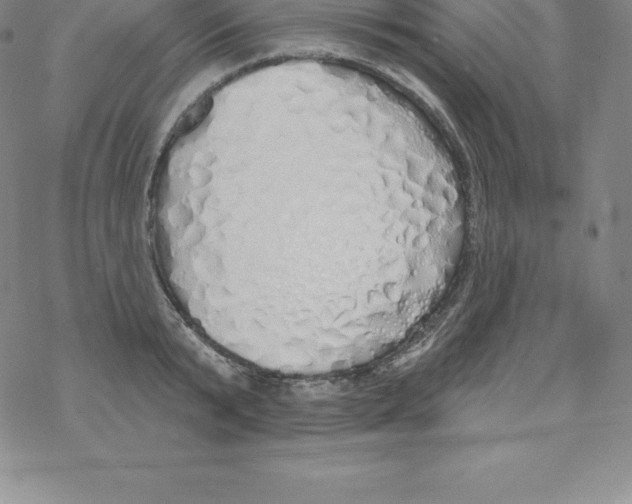 X0000067940799200605112058