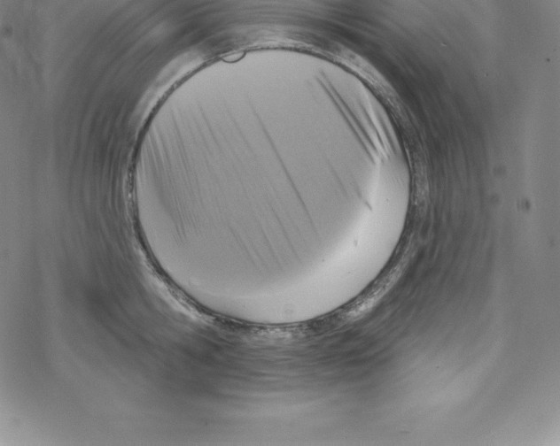 X0000067940806200605112058