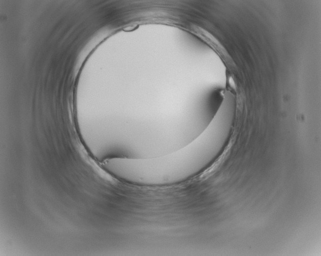 X0000067940812200605112058