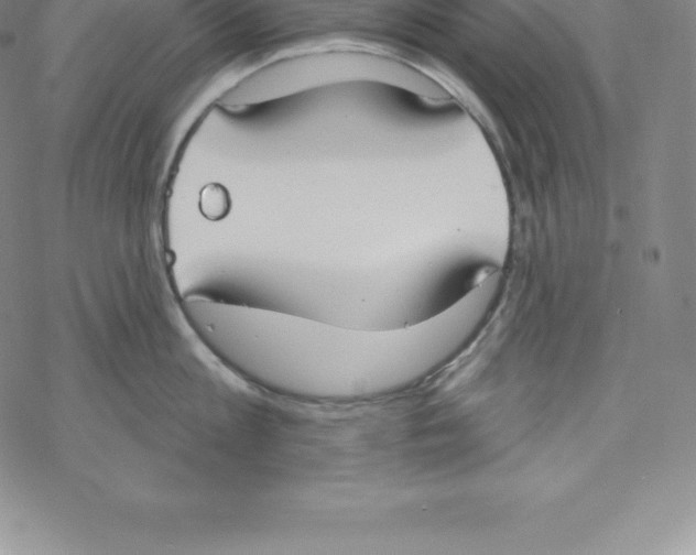 X0000067940813200605112058