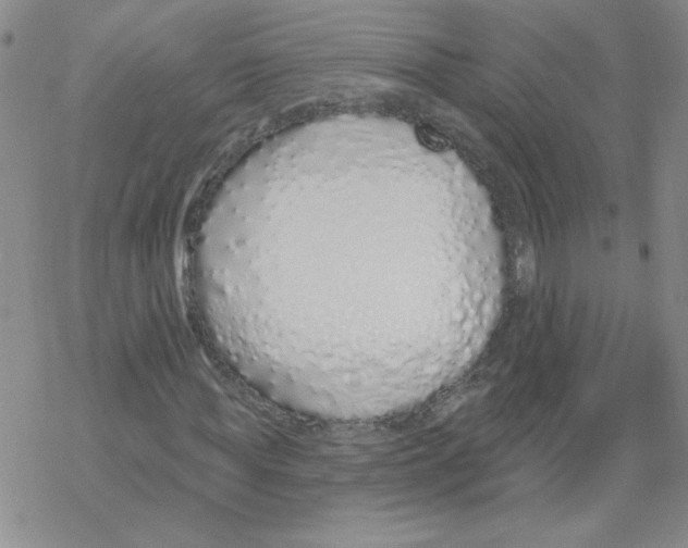 X0000067940819200605112057