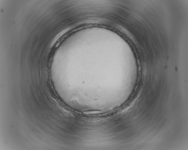 X0000067940829200605112057