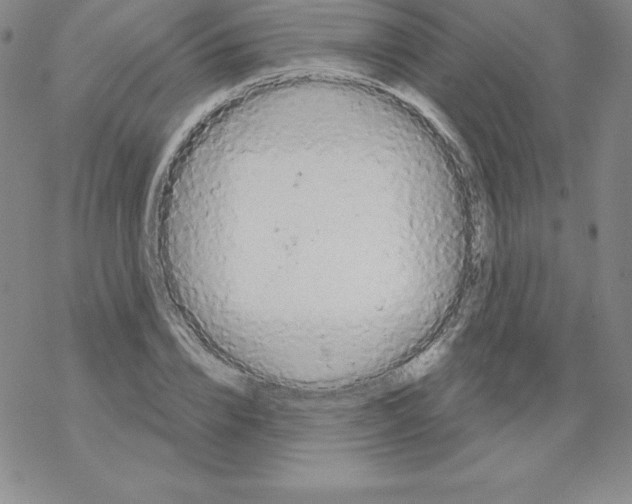 X0000067940832200605112057