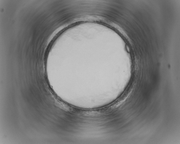 X0000067940837200605112057