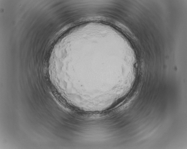 X0000067940841200605112057