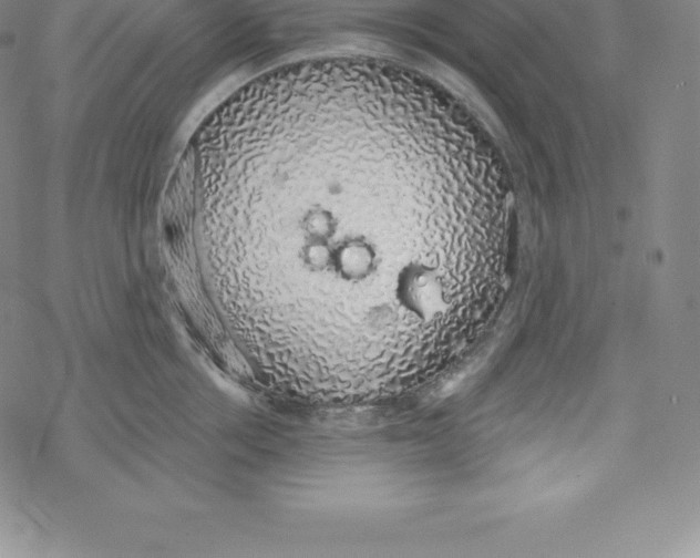 X0000067940858200605112058