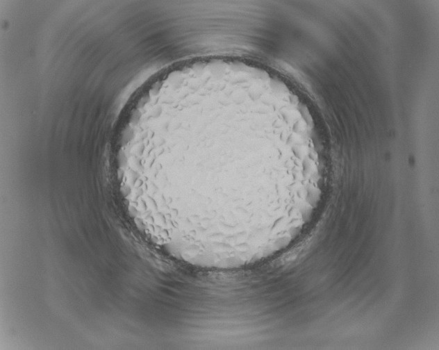 X0000067940875200605112057