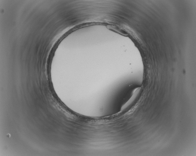 X0000067940884200605112057