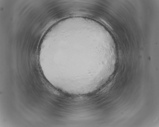 X0000067940891200605112057