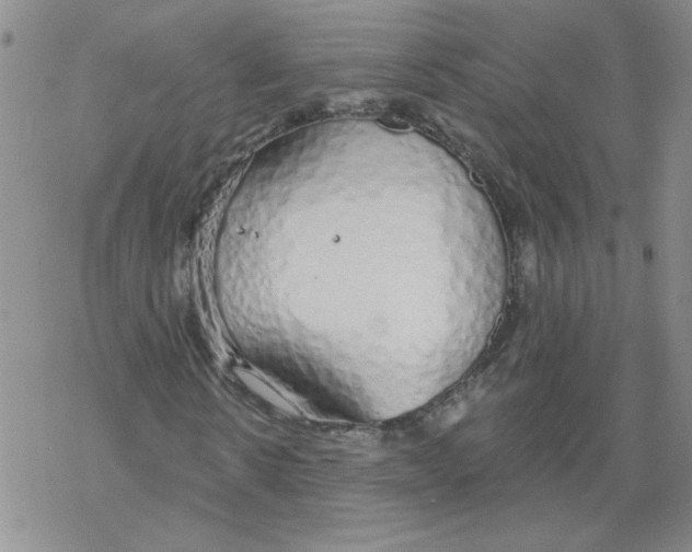 X0000067940914200605112055