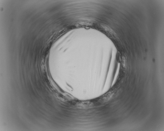X0000067940915200605112055