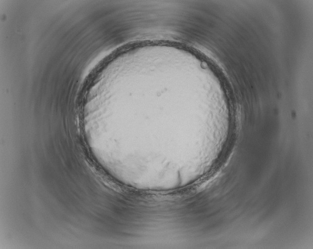 X0000067940925200605112056