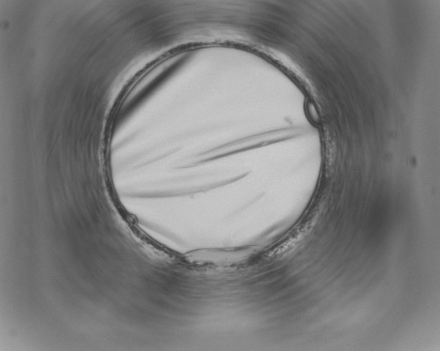 X0000067940943200605112056