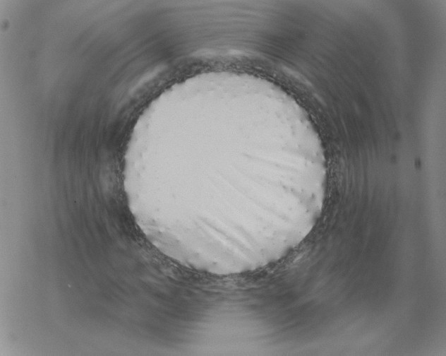 X0000067940966200605112055