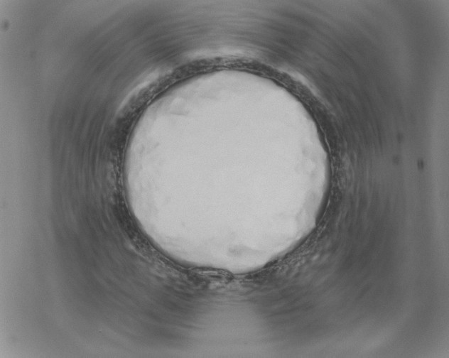 X0000067940967200605112055