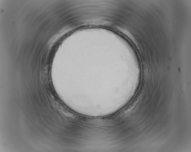 X0000067940971200605112055