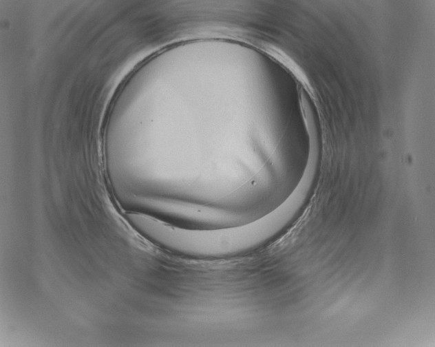 X0000067940996200605112055