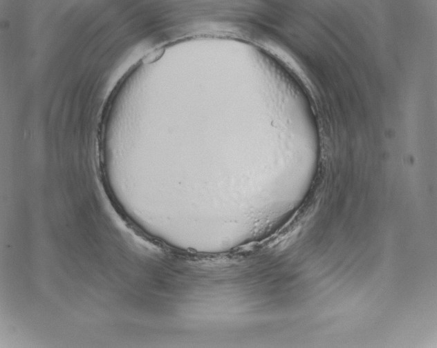 X0000067940999200605112055