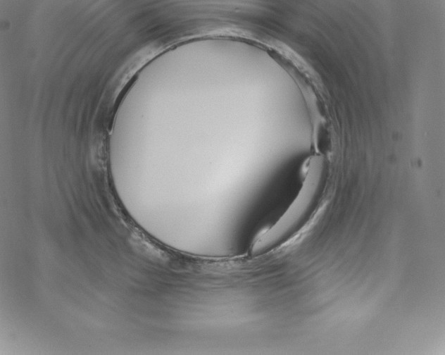 X0000067941001200605112055