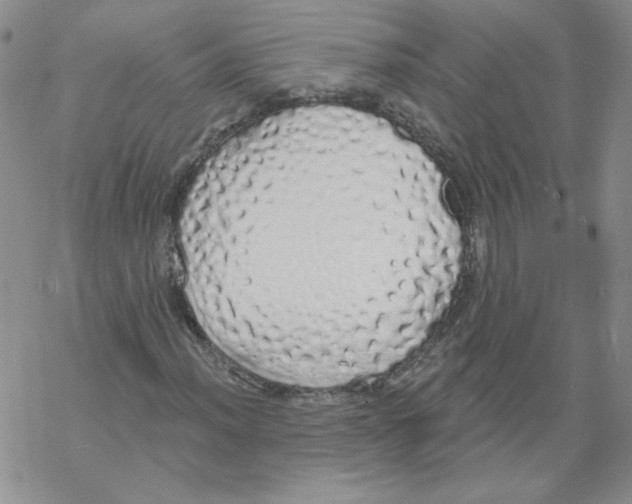 X0000067941012200605112054