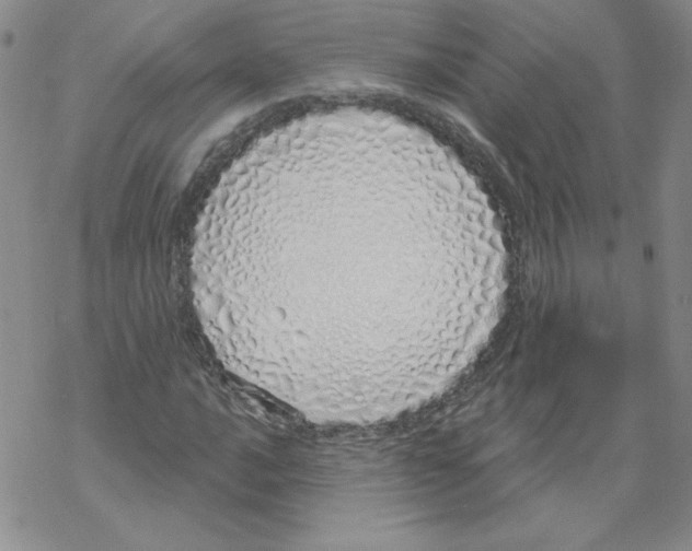 X0000067941016200605112054