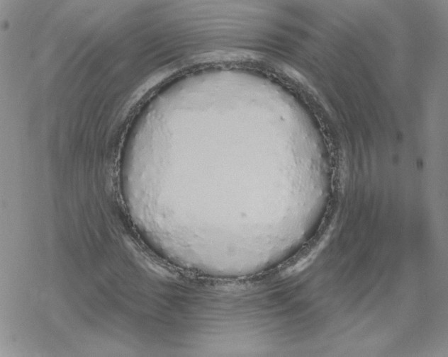 X0000067941017200605112054