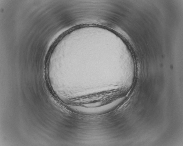 X0000067941020200605112054