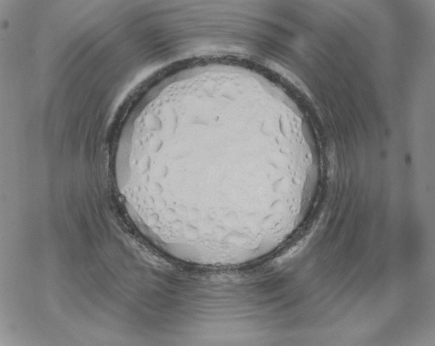 X0000067941021200605112054