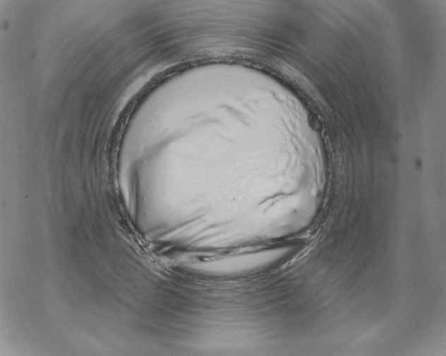 X0000067941023200605112054