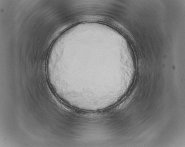 X0000067941033200605112054