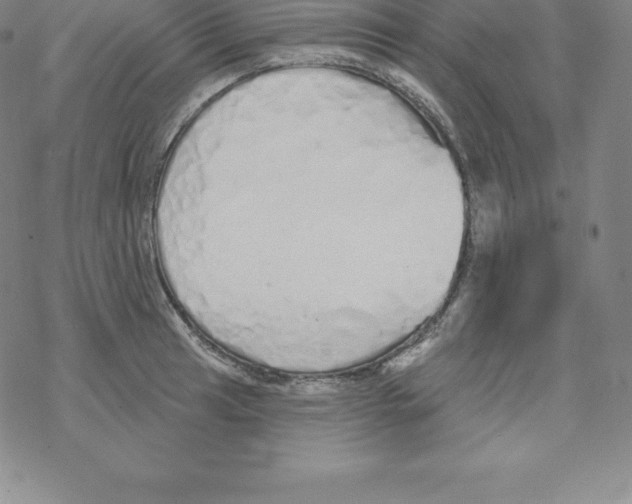 X0000067941041200605112054