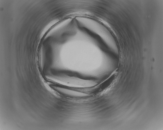 X0000067941042200605112054