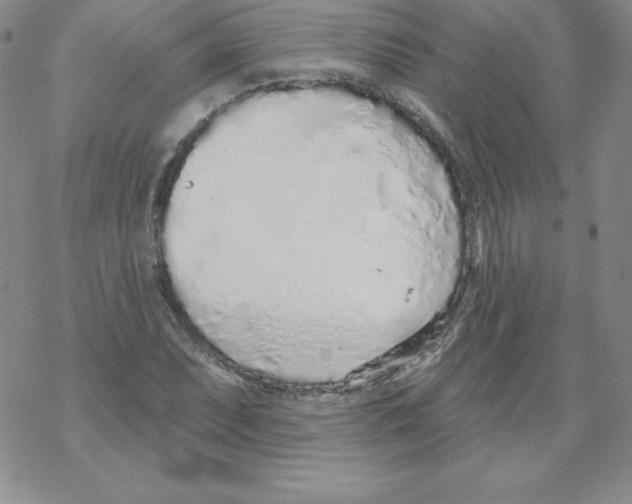 X0000067941071200605112054