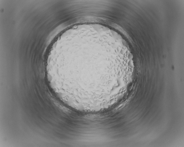 X0000067941075200605112054