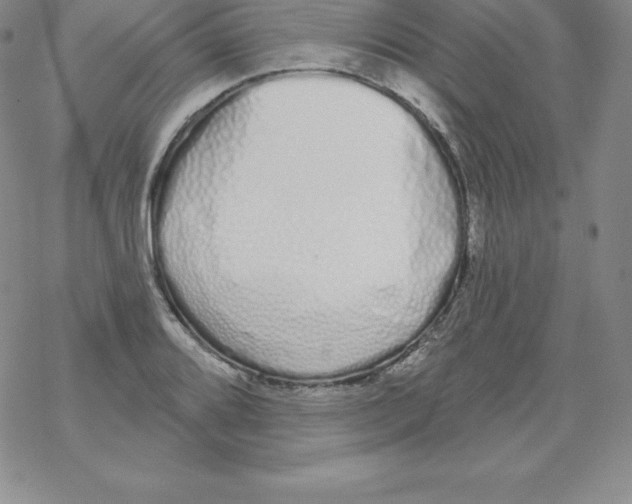 X0000067941080200605112053
