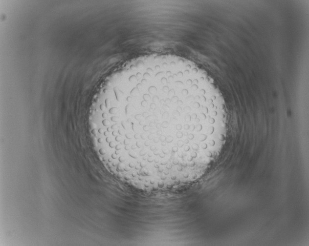 X0000067941105200605112052