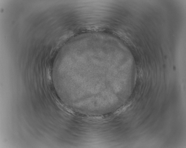 X0000067941106200605112052